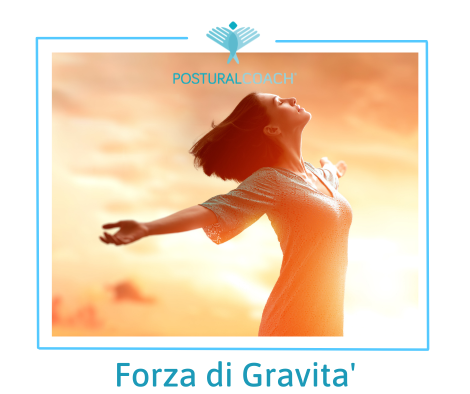 Gravità